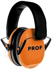 PROF WORK 27DB AUSINĖS