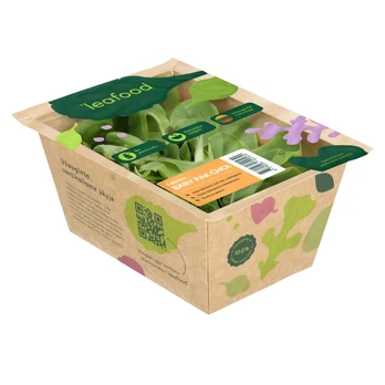 Salotos BABY PAK CHOI