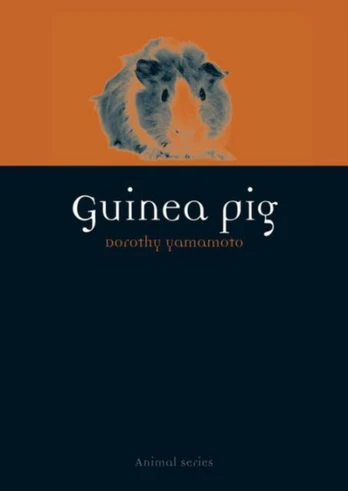 Guinea Pig