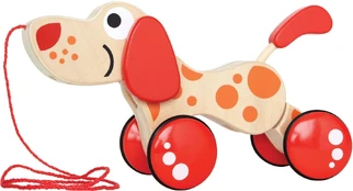 Lavinimo žaislas Hape E0347, 16 cm kaina