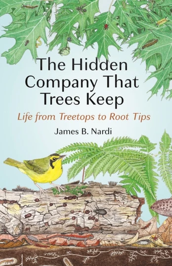 Hidden Company That Trees Keep