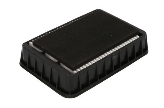 Oro filtras FILTRON AP120/3