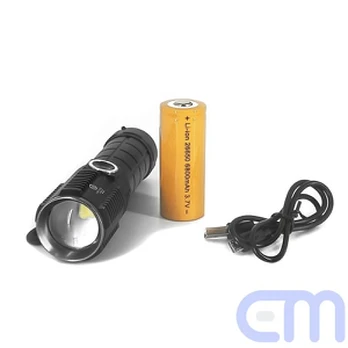 Prožektorius Ortex LED P90