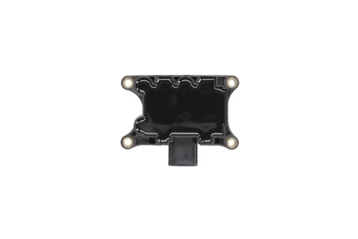 Ritė, uždegimas MAGNETI MARELLI 060717136012