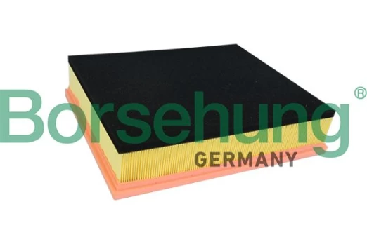 Oro filtras Borsehung B10526