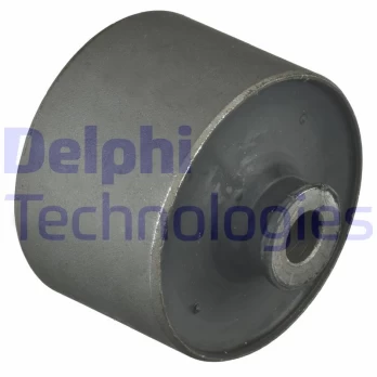 Stebulės laikiklio įvorė DELPHI TD1101W