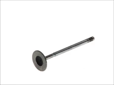 FRECCIA 6195/SCR Inlet valve kaina