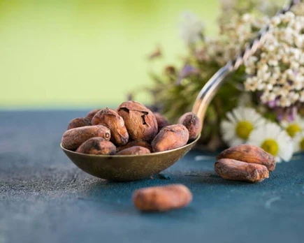 Ekologiškos Criollo kakavos pupelės - 200 g