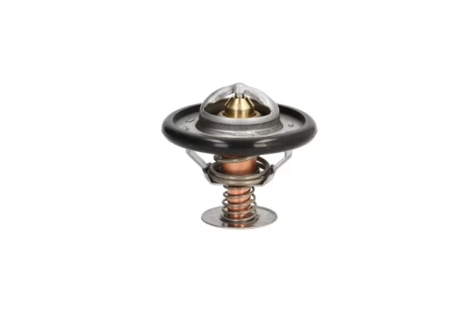 termostatas, aušinimo skystis THERMOTEC D2C002TT