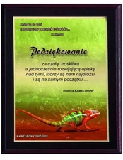 Tryumf Plastikinis diplomas su spalvotu touch laminatu kaina