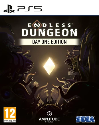 Endless Dungeon Playstation 5