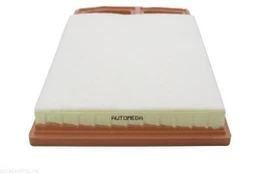 Oro filtras AUTOMEGA 180032710 kaina