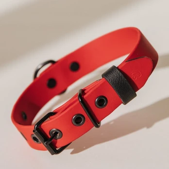 Biotano antkaklis | LADYBUG