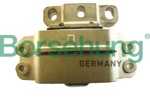 Variklio montavimas Borsehung B18934