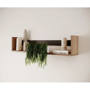 Shelf ARIA