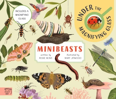 Minibeasts: Under the Magnifying Glass
