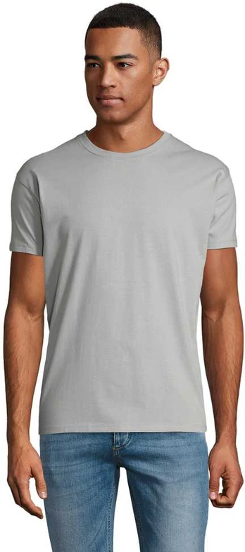 Vyriški pilki marškinėliai Regent