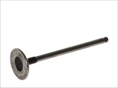 FRECCIA 6113/S Inlet valve kaina