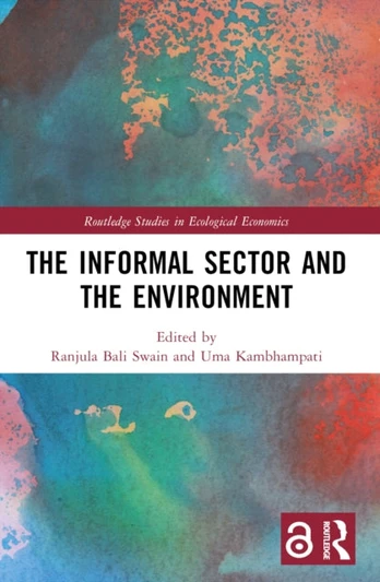 Informal Sector and the Environment
