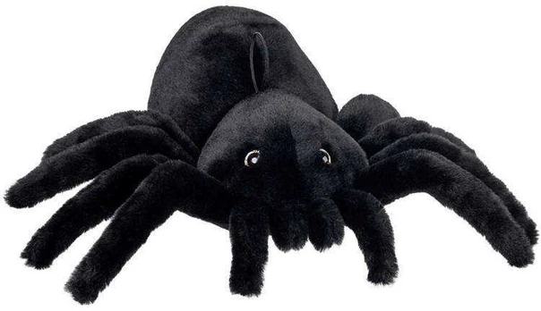 Voras Tarantulas 15 cm