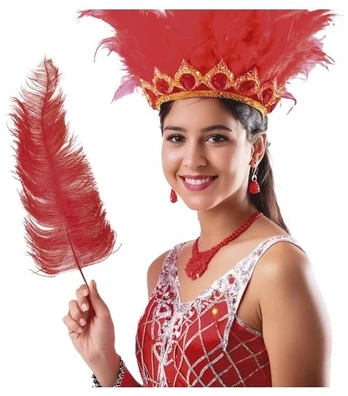 Fiesta Raudonosios stručio plunksnos 45–60 cm, 12 vnt.