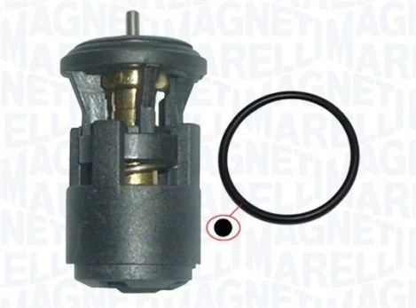 Termostatas, aušinimo skystis MAGNETI MARELLI 352317002860