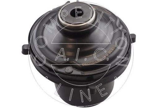 Pakabos statramsčio atraminis guolis AIC 51536