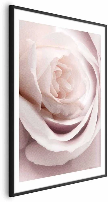 Artgeist Plakatas - Porcelain Rose