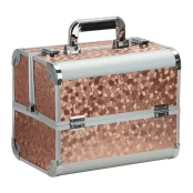 Aptel Kosmetikos priemonių lagaminas Professional Style XL, Brown kaina