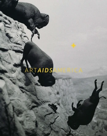 Art AIDS America