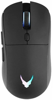 RoGer G-1800 Wireless Gaming Mouse DPI 1600 / Type-C kaina