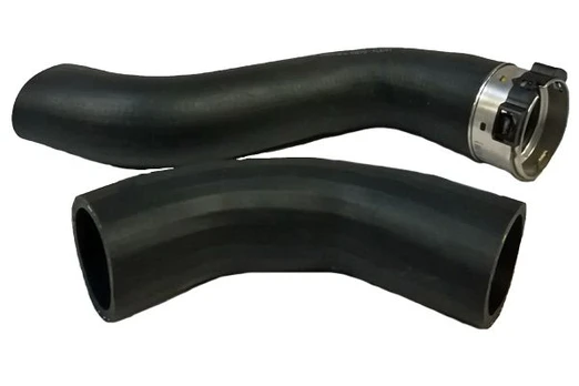 Kompresoriaus padavimo žarna BUGIAD 81870