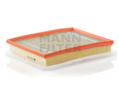 Oro filtras C30130/2