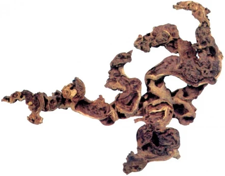 Dekoracija Zolux Root XL 356016, ruda
