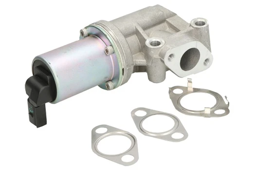 EGR vožtuvas MAGNETI MARELLI 571822112324