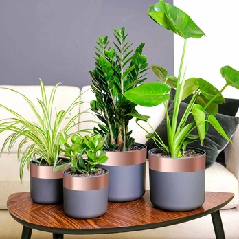 Varinė juosta 6 pcs Vario 2000 x 5 cm