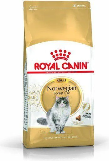 Royal Canin Norwegian Forest Cat 10kg