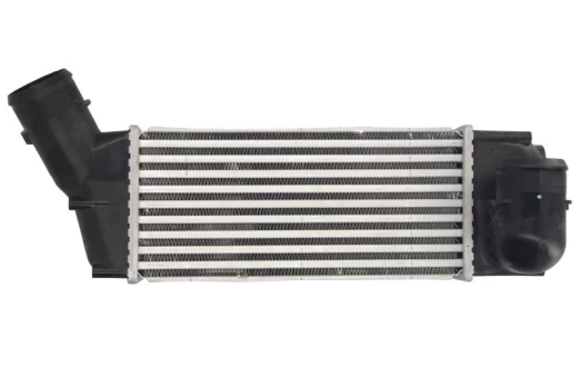 tarpinis suslėgto oro aušintuvas, kompresorius THERMOTEC DAC018TT