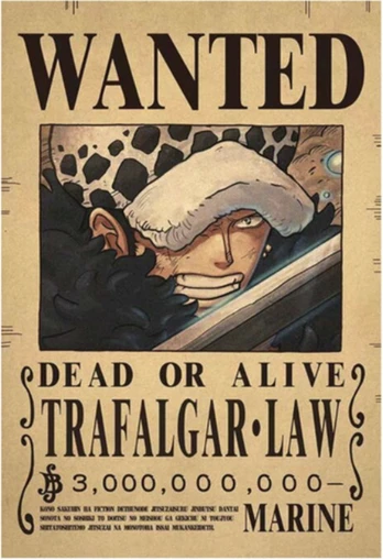 Plakatas One Piece
