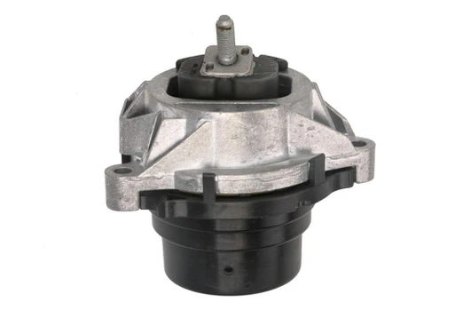 Variklio montavimas TEDGUM TED83442