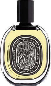 Tualetinis vanduo Diptyque Eau Capitale, 75 ml kaina