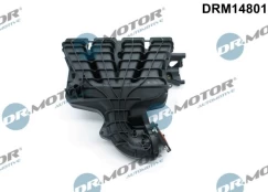 Įsiurbimo kolektoriaus modulis Dr.Motor Automotive DRM14801 kaina