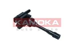 KAMOKA 7120075 Ritė, uždegimas