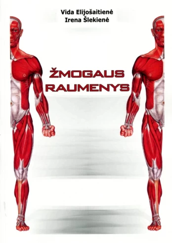 Žmogaus raumenys