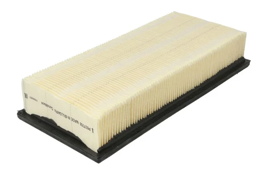 Salono filtras P637258
