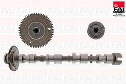 FAI AUTOPARTS C529 Skirstomasis velenas