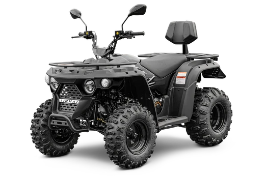 LINHAI M210 2X4 EFI T3B, BLACK keturratis