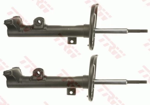 Amortizatorius TRW JGM1001T