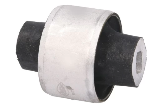 SASIC SAS2254021 Front wishbone bush