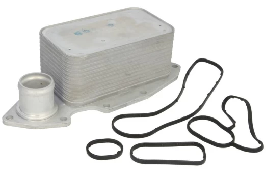 Alyvos radiatorius THERMOTEC D4R015TT